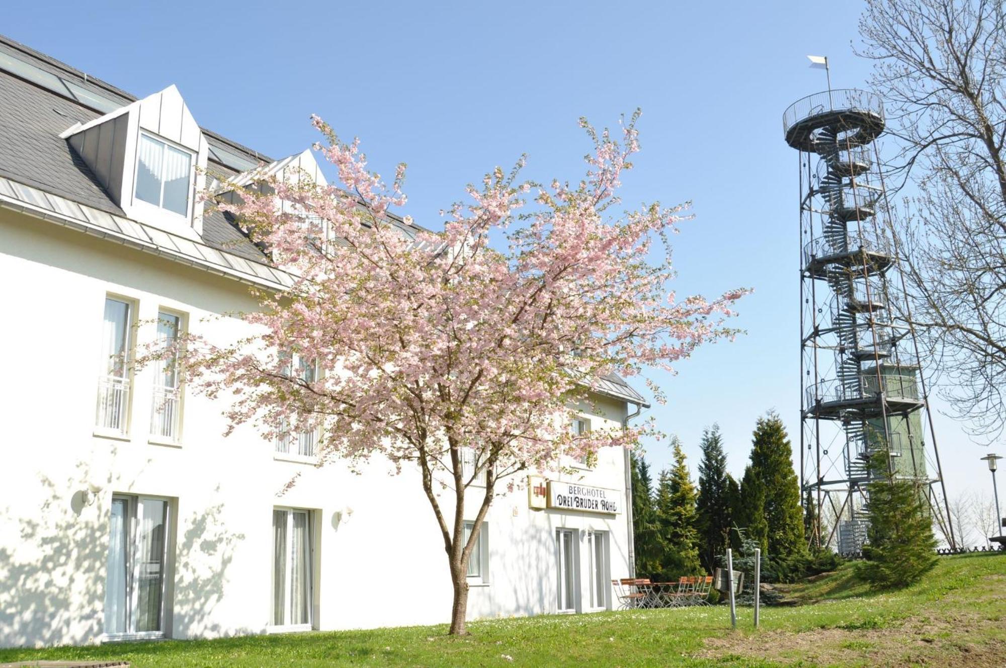 Berghotel Drei Brueder Hoehe Marienberg Bagian luar foto